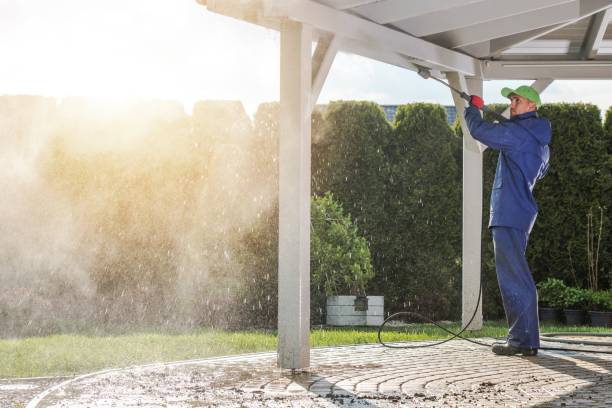 Professional Pressure washing in Lopezville, TX